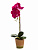 Цветок искуственный Орхидея в горшке 48см REAL TOUCH пластик 000000000001217057