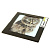 Картина Сова Domino, 30х30 см 000000000001168809