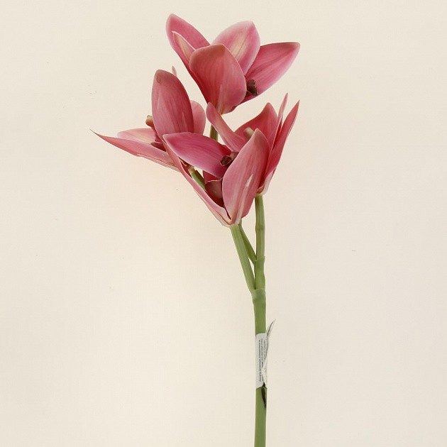 Цветок искусственный "Орхидея Цимбидиум" 50см R010741 000000000001196720