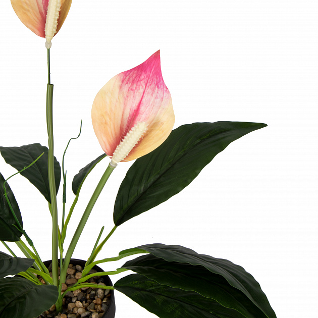 Цветок искусственный растение Спатифиллум 44см розовый в горшке 000000000001218467
