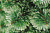 Пихта искусственная 160см БИФОРЕС Южная ПВХ - длинная жесткая хвоя, имитирующая сосновые ветви, дополнена веточками из мягкой ПВХ-хвои 000000000001208780