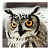 Картина Филин Domino, 30х30 см 000000000001168810