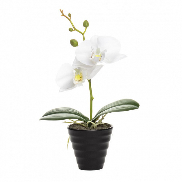 Цветок искусственный "Орхидея" 23см R010818 000000000001196700