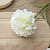 Цветок искусственный Гвоздика 41,5см белая 000000000001218349