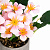 Цветок искусственный растение Фиалка 22см нежно-розовая в горшке 000000000001218496